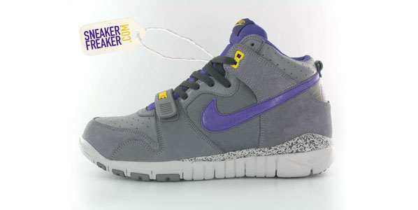 Nike Trainer Dunk Gray/Purple/Yellow