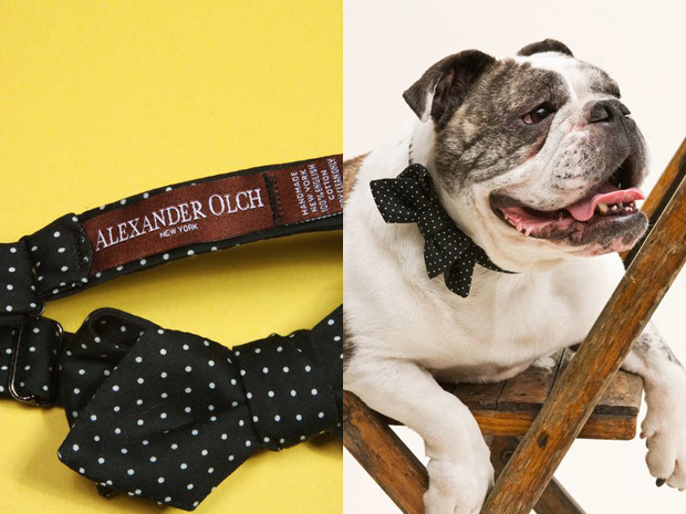 alexander-olch-2009-ss-bow-ties-1