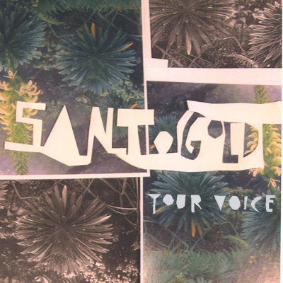 santigold-your-voice