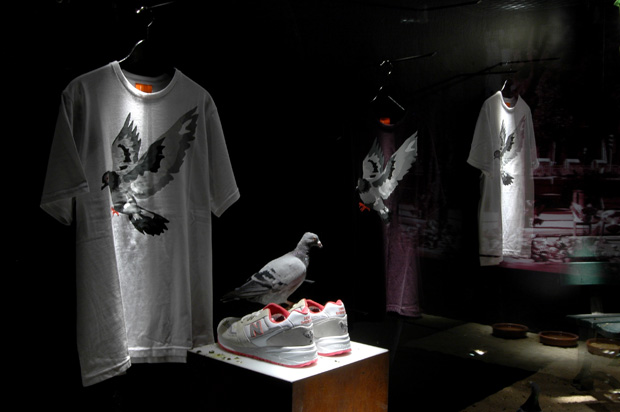 limiteditions-staple-new-balance-white-pigeon-575-installation