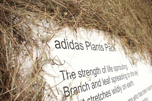 adidas-plants-exhibition-adidas-planthouse